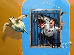 韩国3D奇异馆-海洋馆,油画,手绘油画,欧式油画,壁画,欧式壁画,壁画工程,古典壁画,3D地画,3D壁画