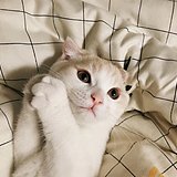 油泼拉条子的头像