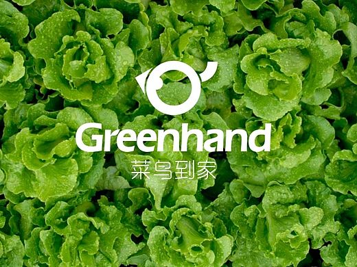 菜鸟到家VI设计