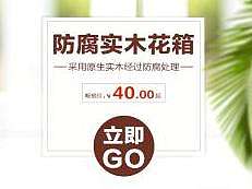 仿真绿植首页（个人主页-ZMTgxMDI0NjQ=） - 电商 - 站酷设计师燕儿飞菜儿追原创素材 - 站酷ZCOOL