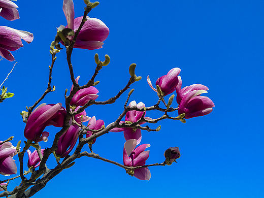 北京的风云变幻--努比亚z9拍摄