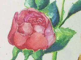 清新