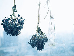 创作-场景拍摄
