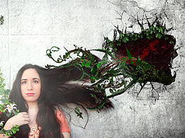 Lorena Main 版本之一