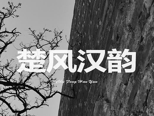 传统文化app