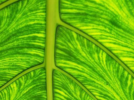 綠意盎然（個人主頁-ZMjcyMzk5NjQ=） - 人文/紀(jì)實攝影 - 站酷設(shè)計師Yier_01原創(chuàng)素材 - 站酷ZCOOL