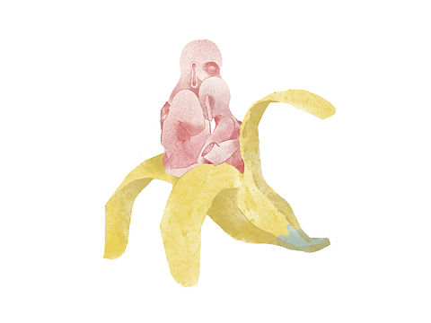 Ipad插画 | 果蔬合集