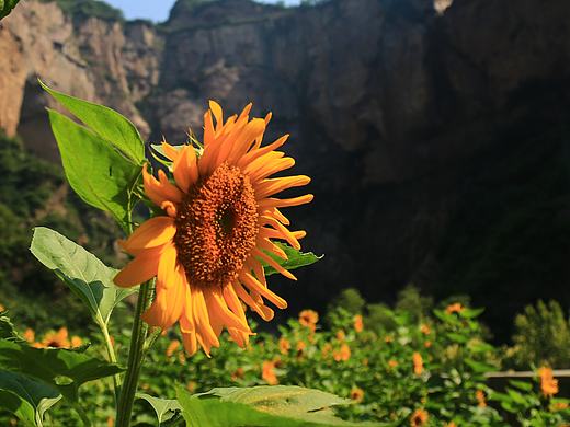 15秒山水广告剪辑