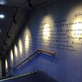 JackSparrow丶的头像
