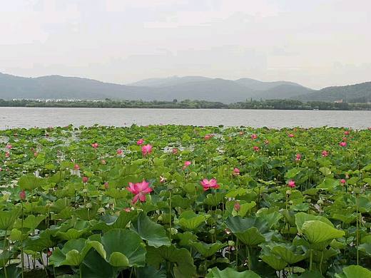 烟雨江南，梦回姑苏