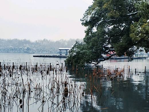 西湖雪景2018.1.27