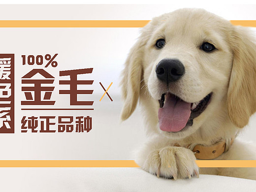 刘博宇的宠物banner