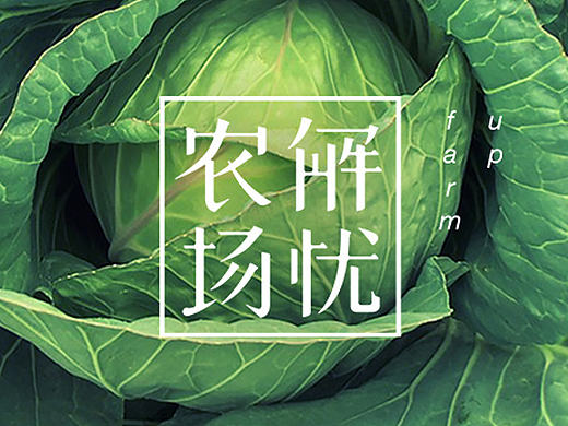 解忧农场