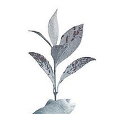 蜜亦青橙的头像