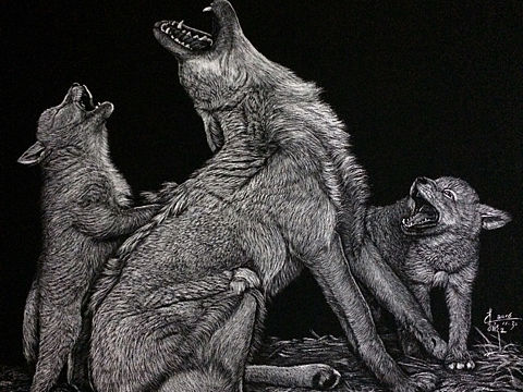 【李子哥刮画作品】《教养》