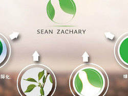 Sean Zachary服装品牌logo设计提案