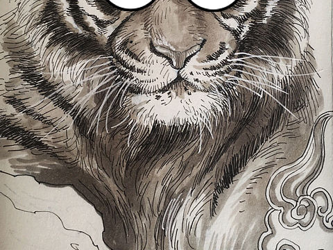 画虎步骤二，点睛