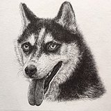 笔尖陌生人的头像