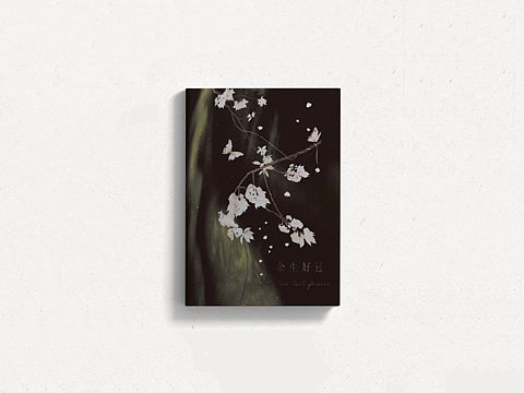 书籍设计｜《余生好过》