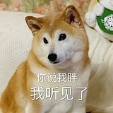 宁青的头像