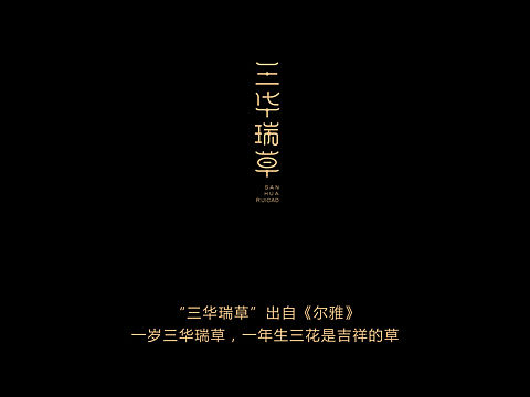 灵芝孢子粉包装