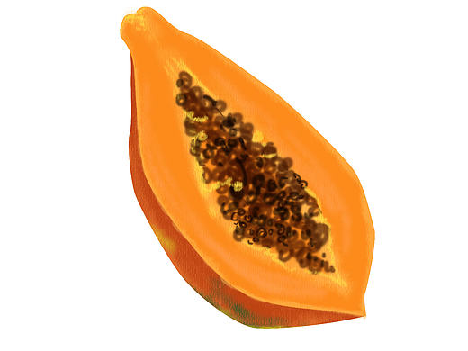 小食（个人主页-ZMjE4NDk2MTY=） - 创作习作 - 站酷设计师文刂二喜原创素材 - 站酷ZCOOL