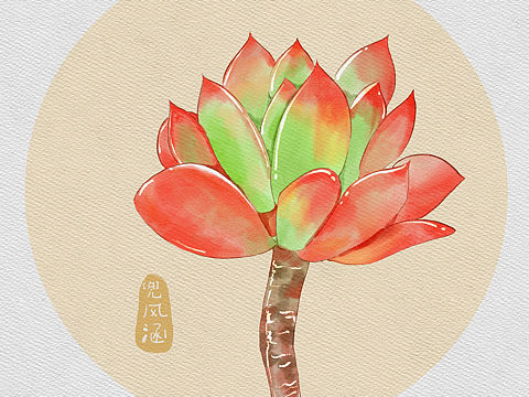 水彩多肉植物