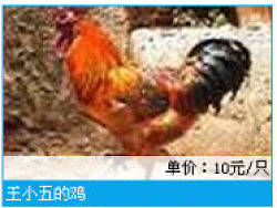 [記憶碎片] 我并不優(yōu)秀，我也是連滾帶爬。（個人主頁-ZMzMzODIwNA==） - 電商 - 站酷設(shè)計師evolutionjay原創(chuàng)素材 - 站酷ZCOOL