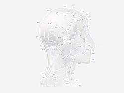 未完成——中医穴位指南（个人主页-ZMTk3MTc3Mg==） - 其他平面 - 站酷设计师小金剛原创素材 - 站酷ZCOOL