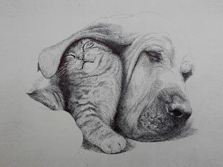 圓珠筆 針管筆畫（個人主頁-ZNjc5NzA4NA==） - 繪畫 - 站酷設(shè)計師橘大本原創(chuàng)素材 - 站酷ZCOOL