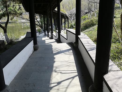 凉亭里的阅读者