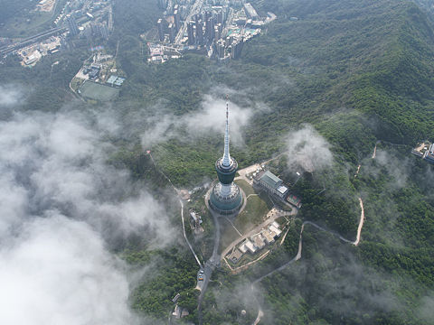 深圳梧桐山～小梧桐