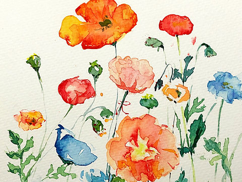 水彩花朵