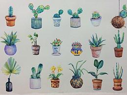 水彩仙人掌