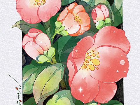 山茶花&马蹄莲
