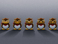 猫头鹰OWLS