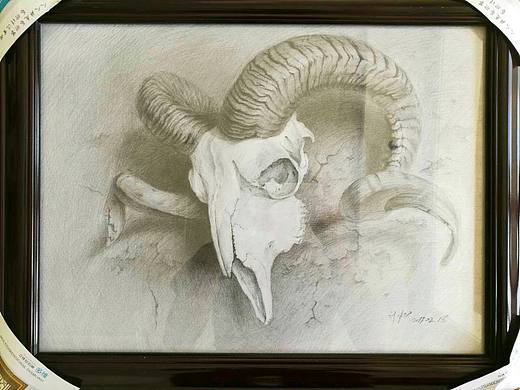 素描羊头