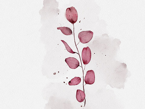 水彩小花