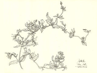 杂绘（个人主页-ZNDg2NDk1Ng==） - 创作习作 - 站酷设计师lily01075原创素材 - 站酷ZCOOL