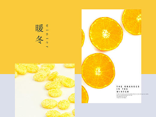 暖冬-静物拍摄