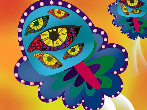 蝴蝶眼中的世界