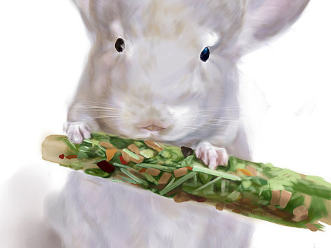 写实风——手绘板龙猫小可爱