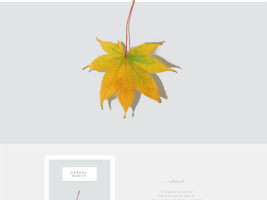 网页设计（个人主页-ZMTUyNzk1MDA=） - 企业官网 - 站酷设计师木夕mixi原创素材 - 站酷ZCOOL