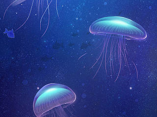 ~插画（个人主页-ZNzM1NzMyOA==） - 商业插画 - 站酷设计师liweikang91原创素材 - 站酷ZCOOL