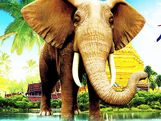 旅游专题（个人主页-ZMTk2OTQxNTI=） - 运营设计 - 站酷设计师阳阳说得对原创素材 - 站酷ZCOOL