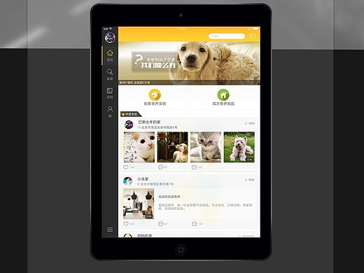 宠窝窝 ipad 宠物家庭式寄养app  多平台