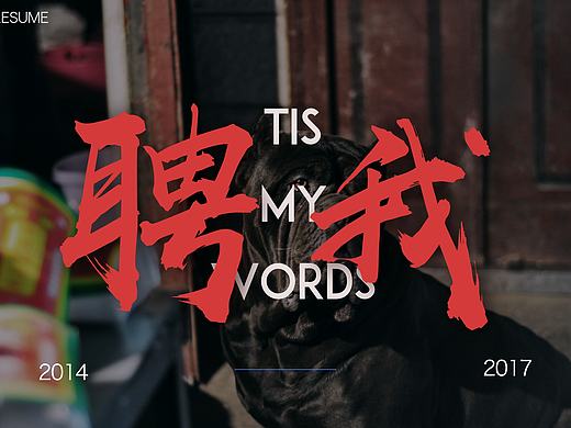 Jia Zhe－Resume | 今年的简历  