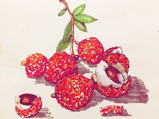 手繪小食物（個(gè)人主頁-ZMTQwMjE2ODg=） - 創(chuàng)作習(xí)作 - 站酷設(shè)計(jì)師招子原創(chuàng)素材 - 站酷ZCOOL