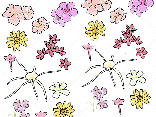 花团锦簇