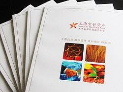 金融投资公司画册设计&nbsp;金融投资画册设计&nbsp;金融投资品牌设计&nbsp;金融投资VI设计